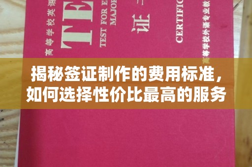 崆峒揭秘签证制作的费用标准，如何选择性价比最高的服务？
