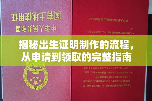 崆峒揭秘出生证明制作的流程，从申请到领取的完整指南