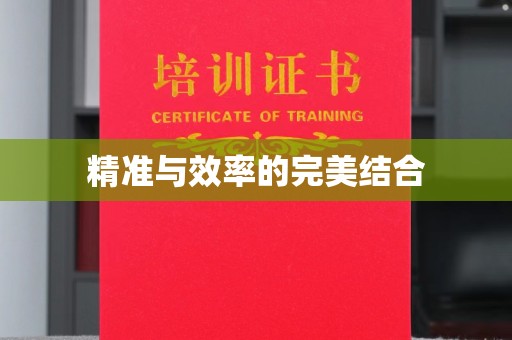 崆峒精准与效率的完美结合